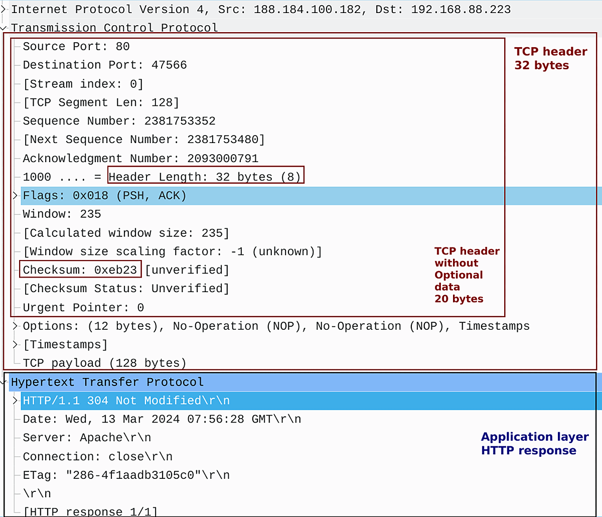 IP Packet with TCP Header