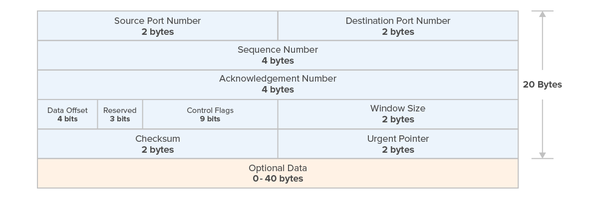 TCP Header Model