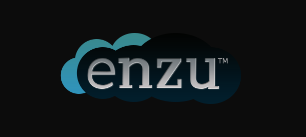 enzu