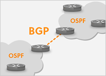 bgp